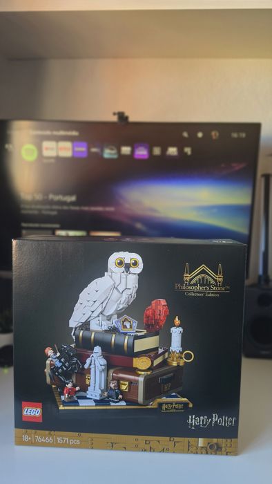 Lego Harry Potter 76419 e 76466