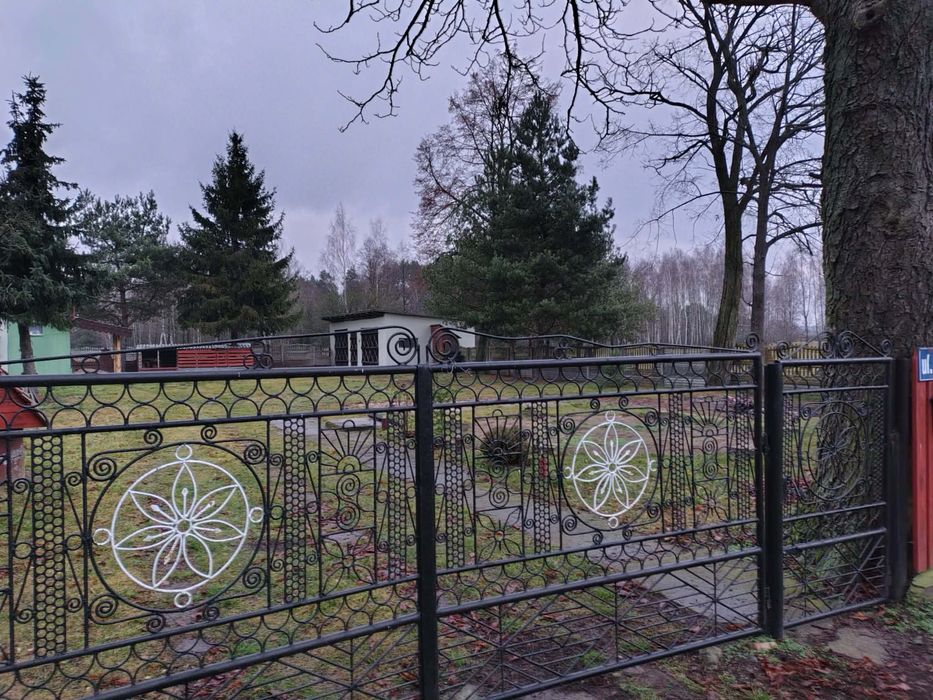 Siedlisko w Łosinnym, blisko Wyszkowa