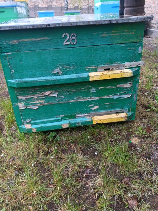 Продам 6 уликов лежака