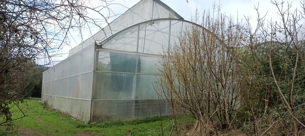 Estufa Agrícola 10m x 20m