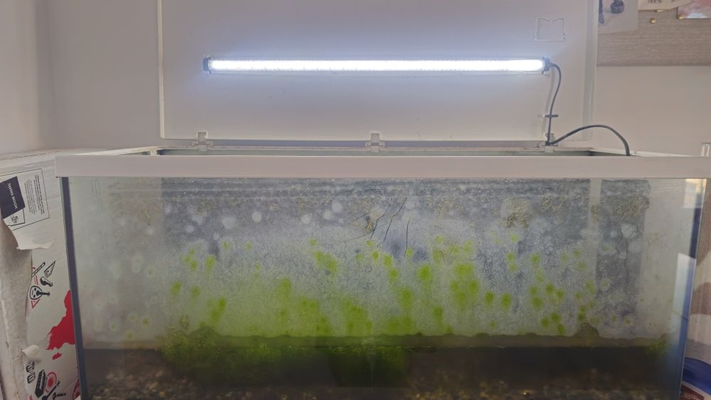 Aquario 80cm Aquatlantis