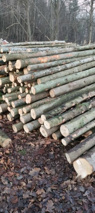 Stemple budowlane jodłowe 2.7- 3.0 metry 5zł za sztukę. Dowóz do 10 km
