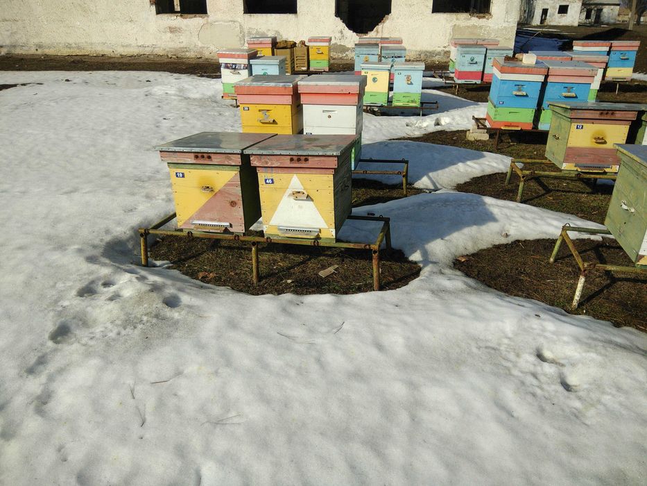 Продам вулики 10 рамок дадан