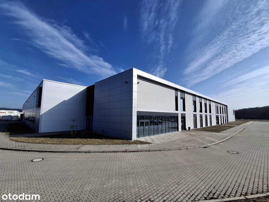 Zielona Góra - nieruchomość produkcyjna 4.57 ha