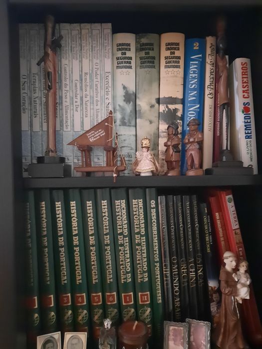 Lote de vários livros