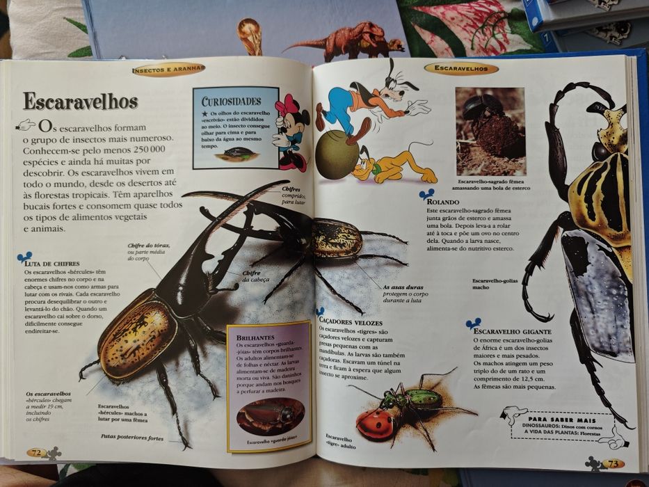 Enciclopedia Disney