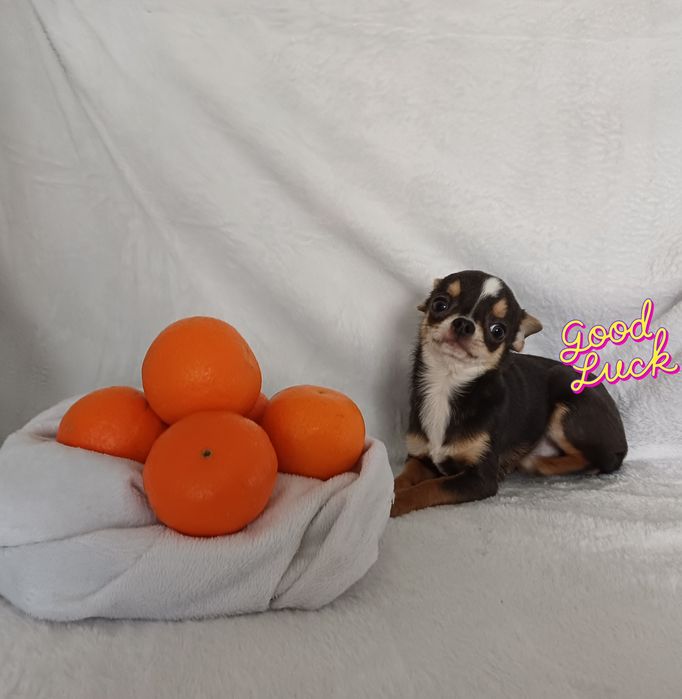 Миниатюрного размера мальчик