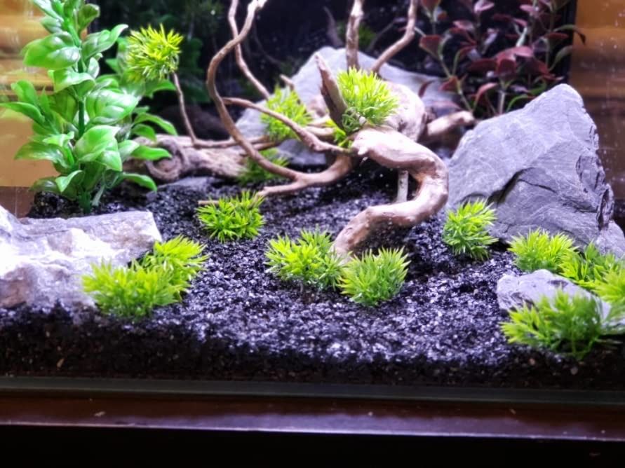 Czarny Kamień do Akwarium Skała Black Grey Stone Malawi Tanganika Grys