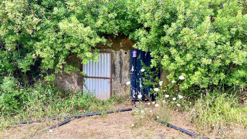 Terreno Rustico São Brás com Agua