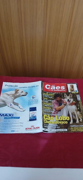 Cães & Companhia de 2009