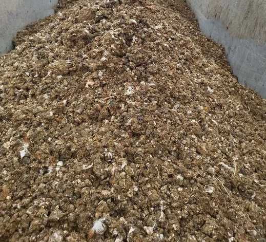 Obornik kurzy - nawóz organiczny