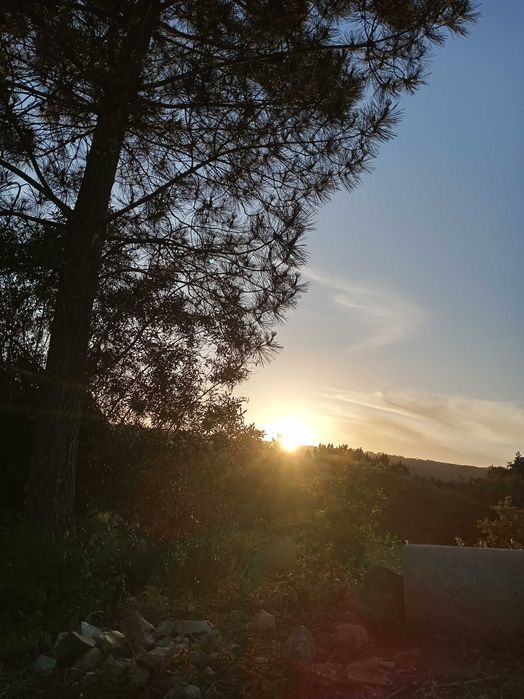 Venda de terreno em Miranda do Corvo