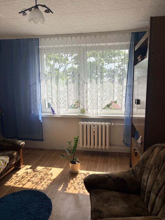 Zdjęcie 2
