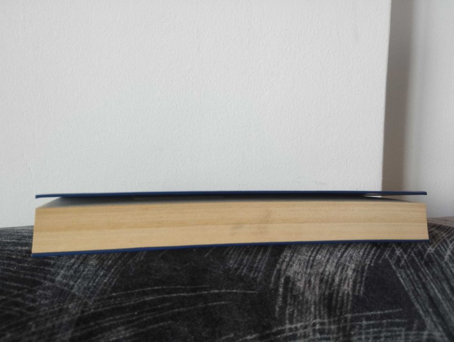 Declaração Universal dos Direitos do Ser Humano de Raoul Vaneigem