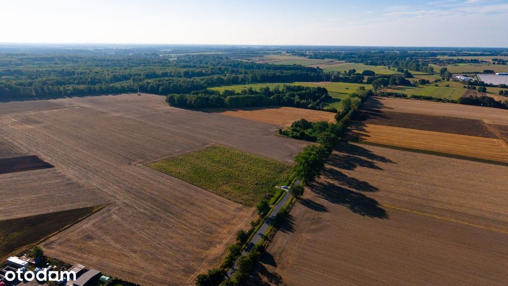 Działki pod dom | Olchowo | 1200 m² | 99 zł/m²