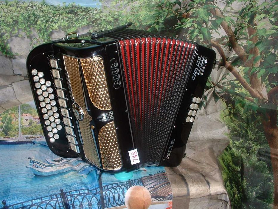 Concertina a venda n.748