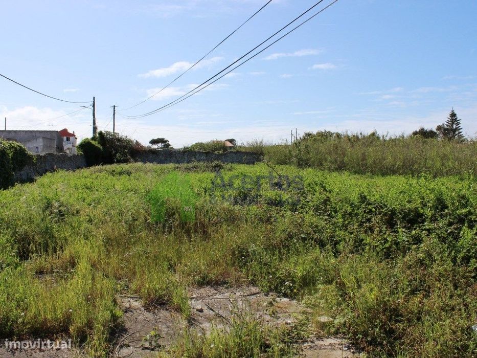 Óptimo Investimento Centro Cidade — Peniche, Leiria