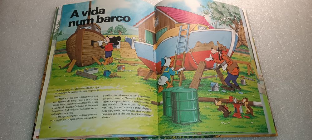 Raro livro Walt Disney de 1983 tiragem de 15000 exemplares