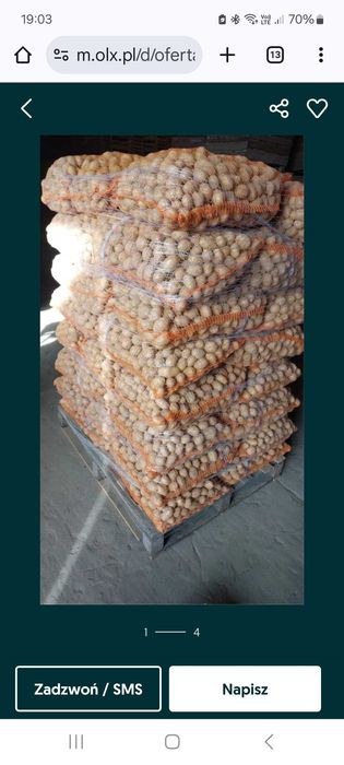 Ziemniaki jadalne wielkości sadzeniaka