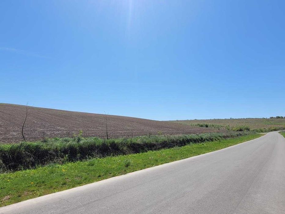 Земля в с.Колодіївка. поруч з с.Вовчинець