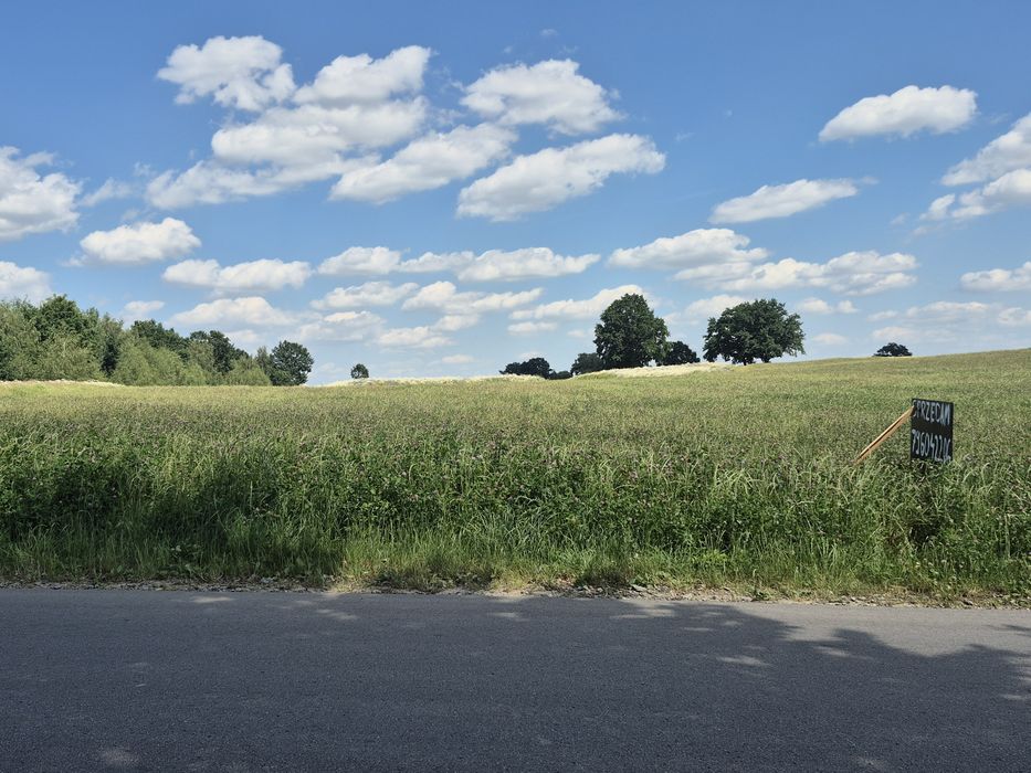 Działka 0,93ha na sprzedaż