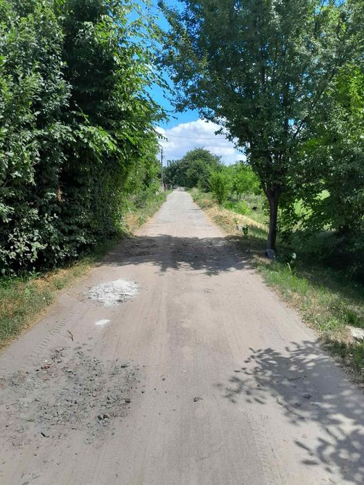 Продам земельну ділянку в с. Конопниця