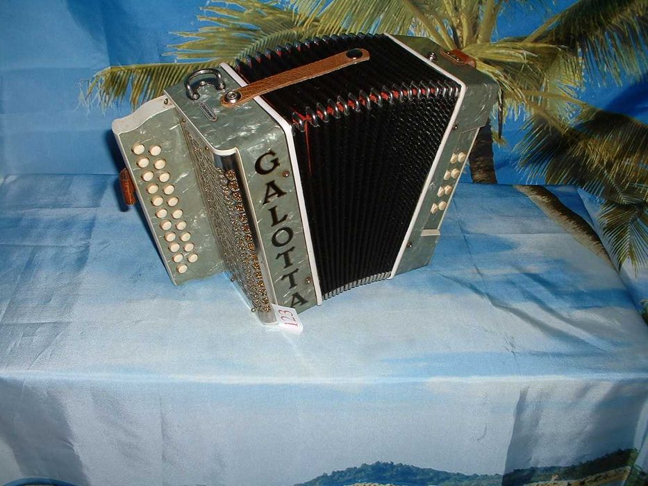 Promoção de Acordeões de concertinas