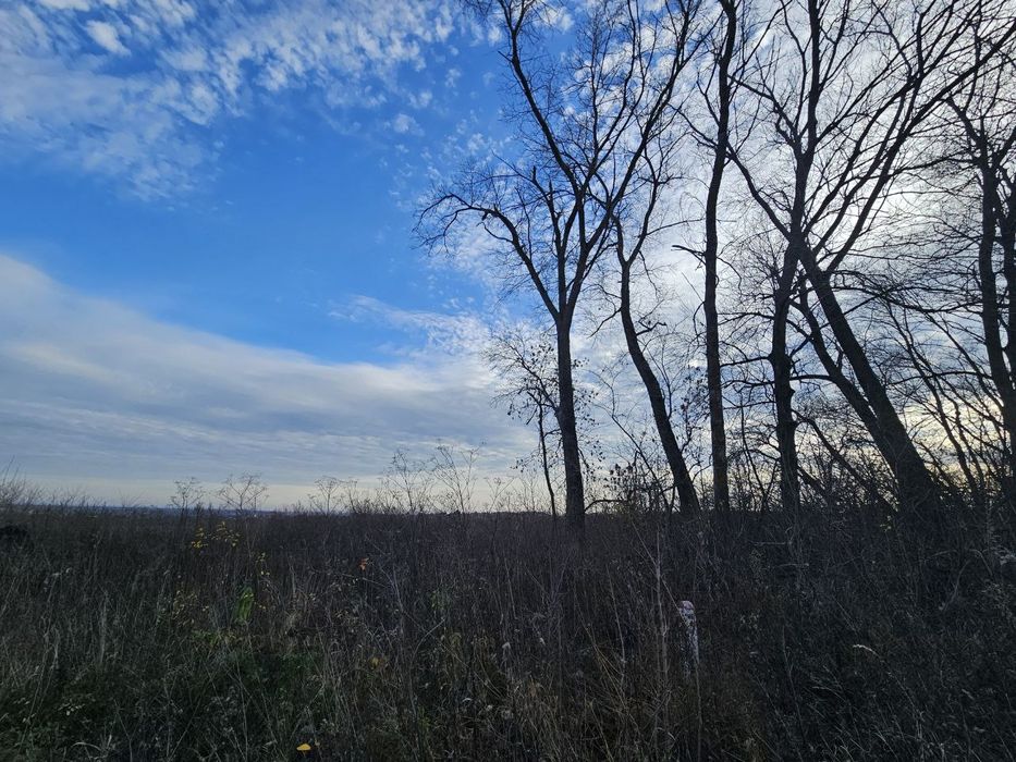 Продаж ділянки навпроти Галицького замку