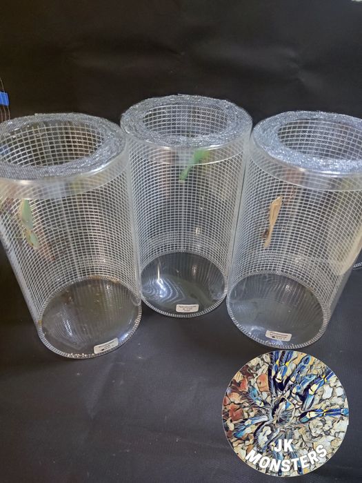 Pełna lista modliszek/modliszki/modliszka +gratisy