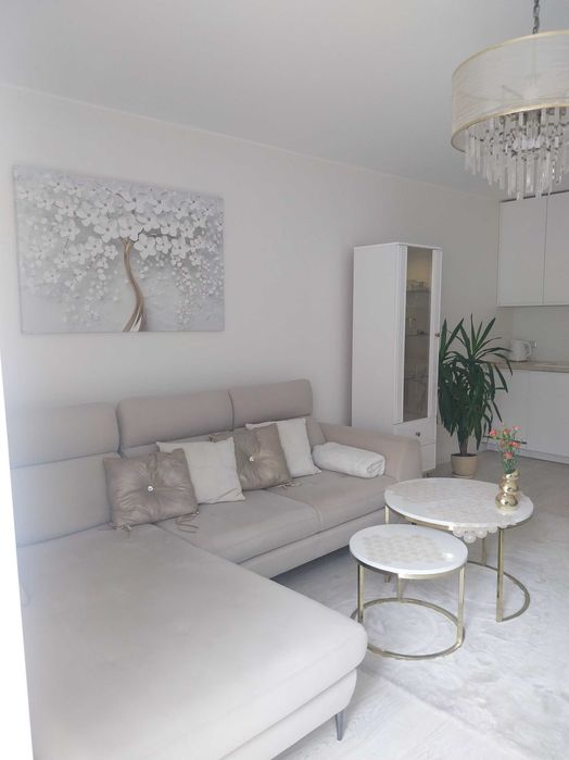 Luksusowy apartament 32 mkw z tarasem przy Parku Klecińskim