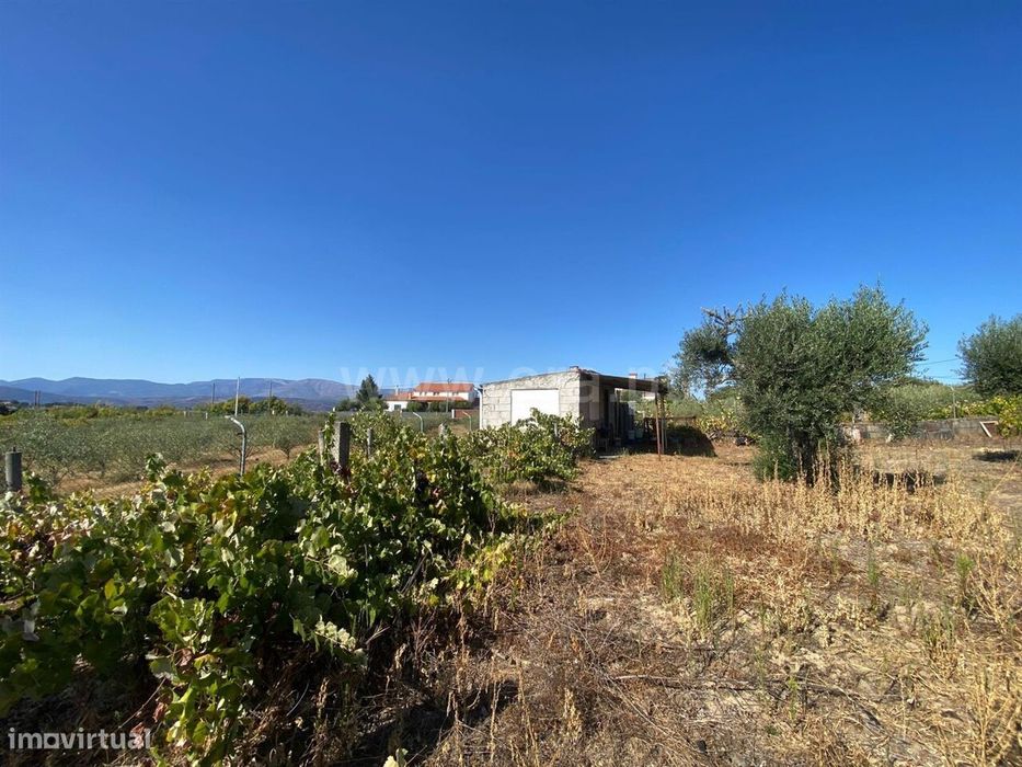 Terreno Agrícola Fundão — Fundão, Valverde, Donas, Aldeia De Joanes E Aldeia Nova Do Cabo, Castelo Branco