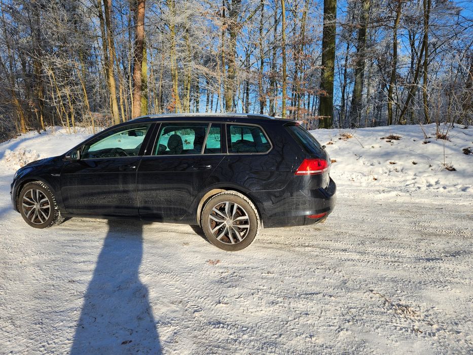 Vw golf 7 na sprzedaż 2016 rok