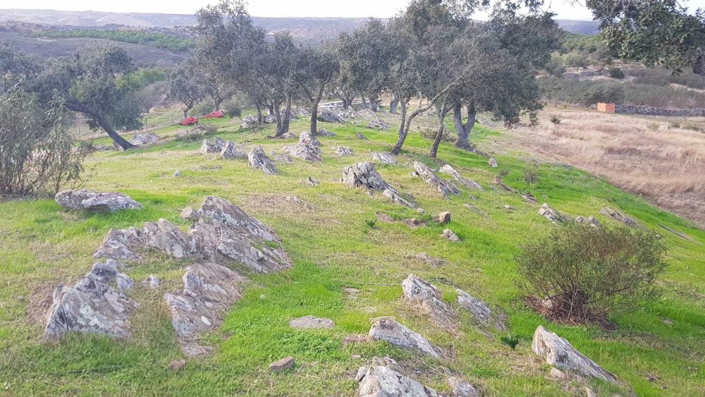 Quinta rica em água em Martim Longo