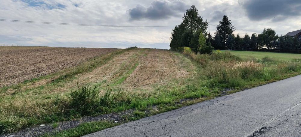 Sprzedam działki rolne - Widok 5