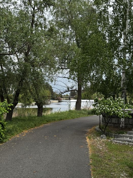 Песчанка, участок 10 соток в сосне.