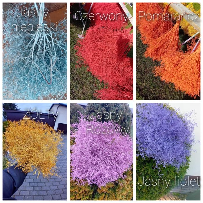 Bukiet kwiatowe - zatrwian szerokolistny