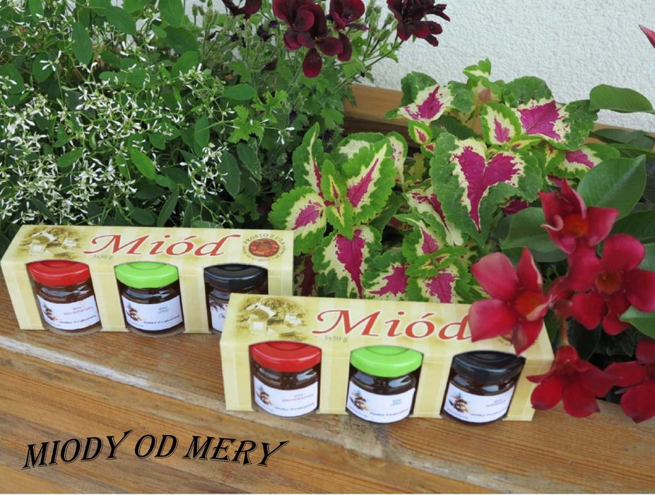 Miód, Zestaw Prezentowy 6x50g / Miodowe Smaczki Owocowe / Kit Pszczeli