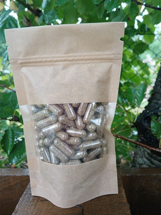 Naturalne kapsułki ziołowe na pasożyty.