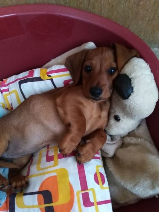 Теплий карамельний скарб