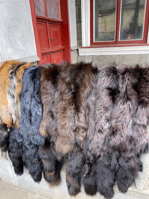 Хутро чорно-бурої лисиці