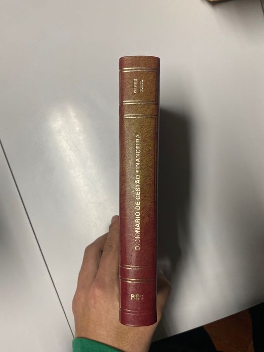 Dicionário de gestão financeira