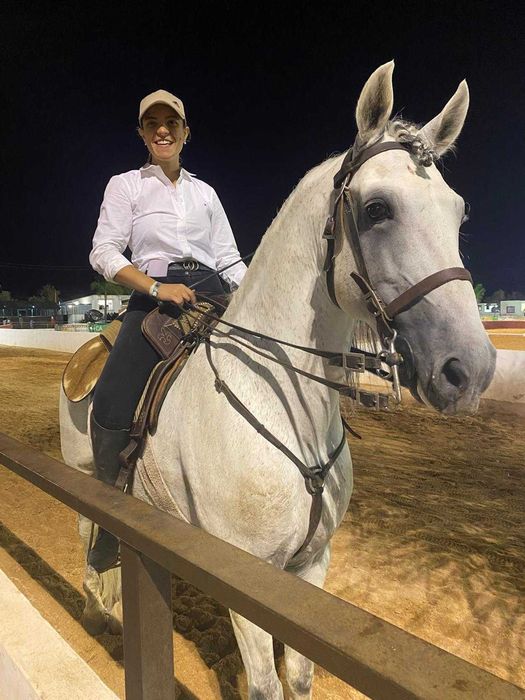 Cavalo Puro Lusitano
