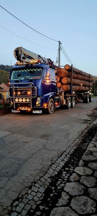 Volvo do drewna lasu drzewa dłużycy
