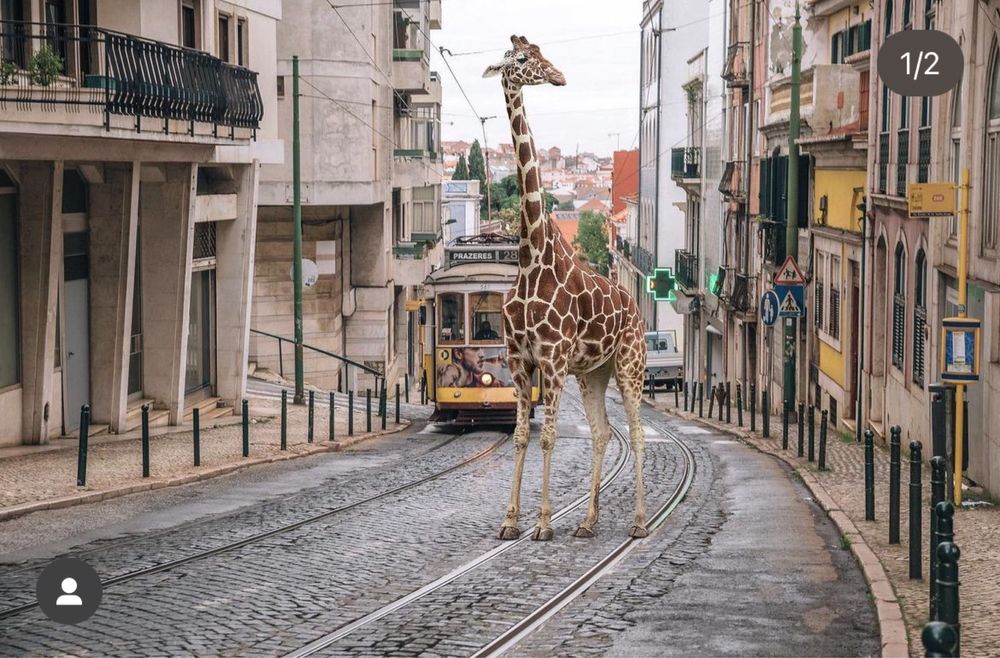 Explicações/Aulas Desenho