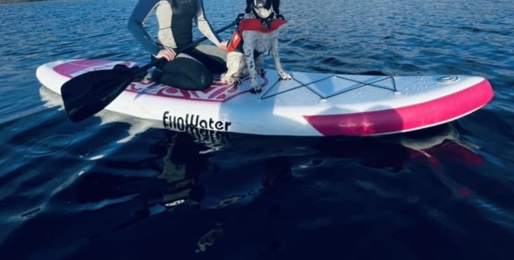 Prancha de Padle Nova Selada com acessórios 320m