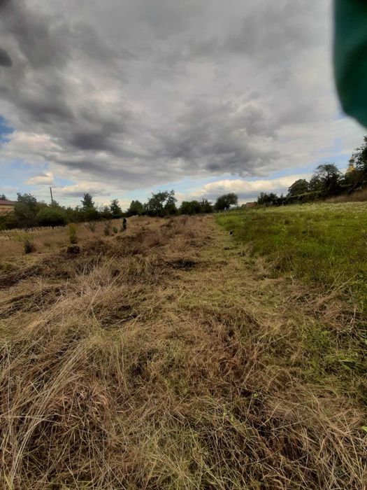 Будинок у селі Холмовець, Берегівський район, Закарпатська область