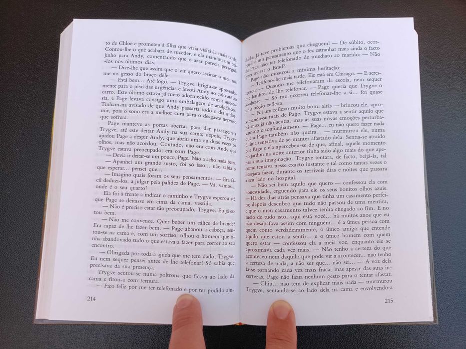 Livro "Acidente", Danielle Steel
