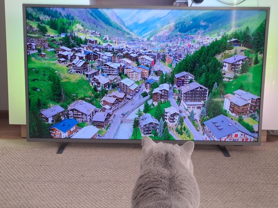 Philips 50" 4K Android