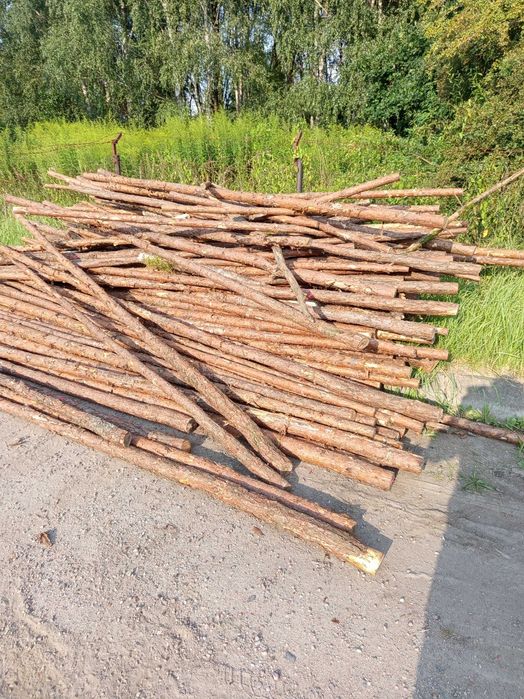 Słupki żerdzie podpory drewno opal