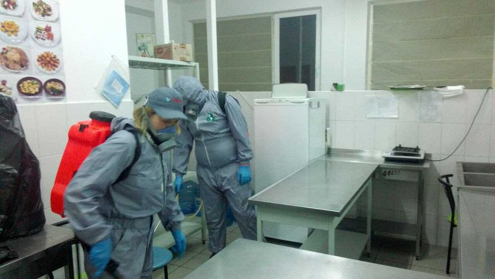 «Профдезінфекція» пропонує знищення  шкідливих комах